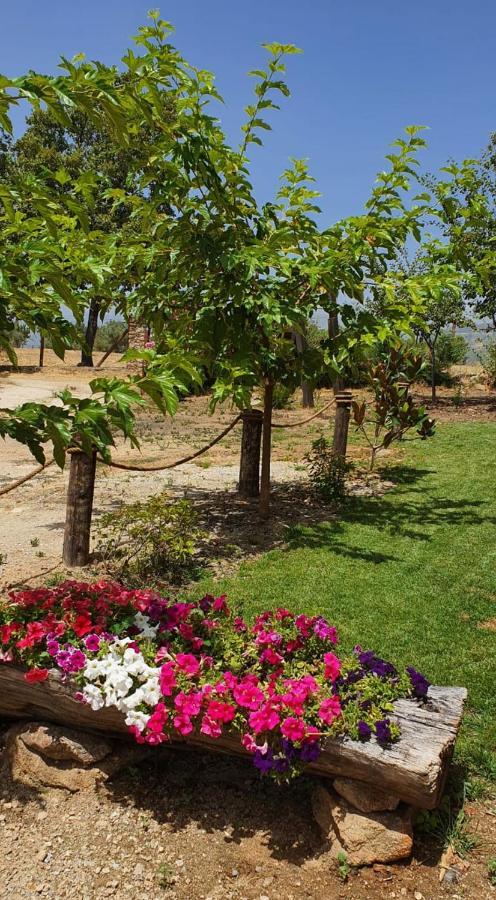 Casa Rural Las Traviesas Канделеда Экстерьер фото